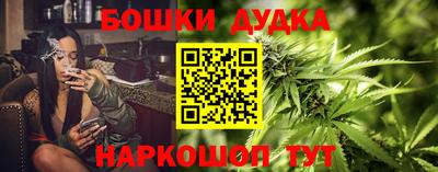 прущие крисы Камышлов