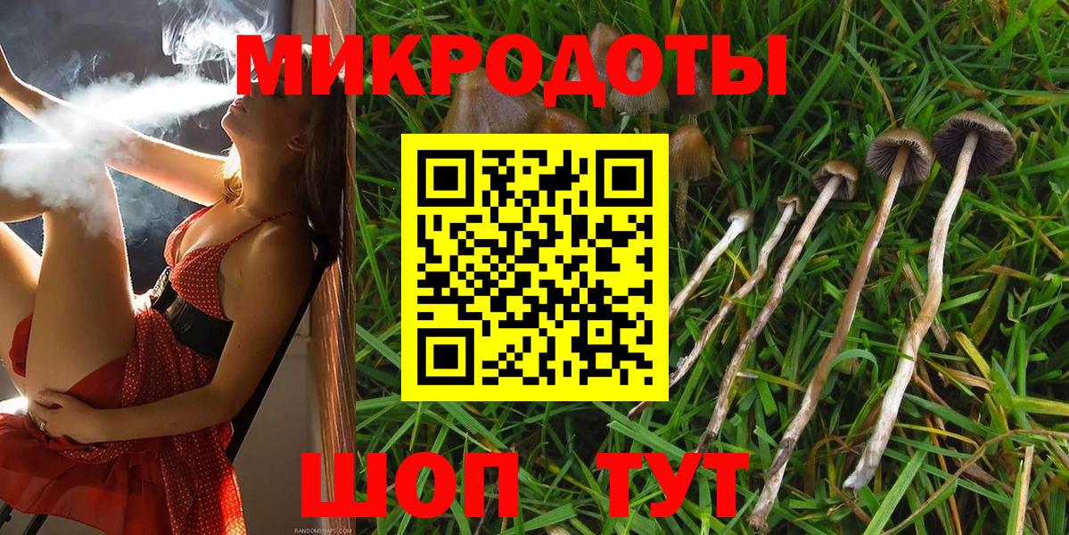 Красноярск  купить  цена  Вход с VPN  Галлюциногенные грибы Magic Shrooms  Галлюциногенные грибы Psilocybe 