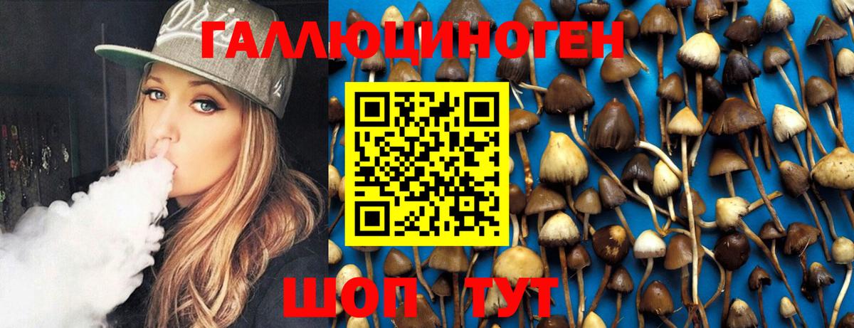 Галлюциногенные грибы GOLDEN TEACHER Красноярск