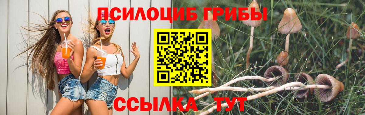 НБОМе  Вход с VPN  Красноярск  Марихуана  Меф МЯУ МЯУ  ГАШ  Героин  Меф МЯУ МЯУ кристаллы 